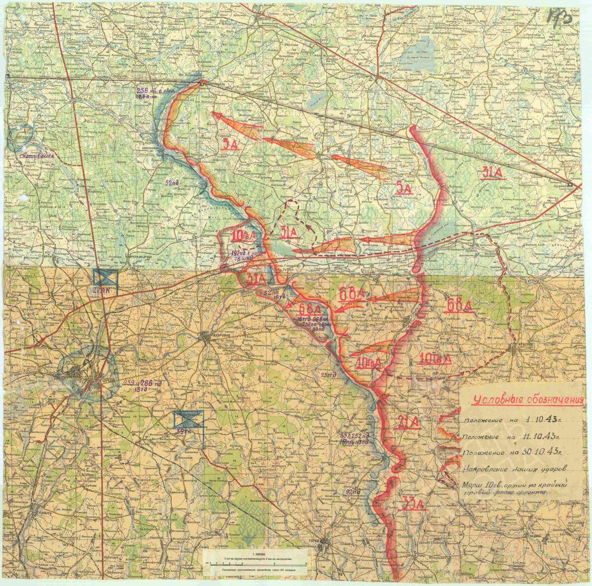 1943年10-11月的奥尔沙战役数据补充