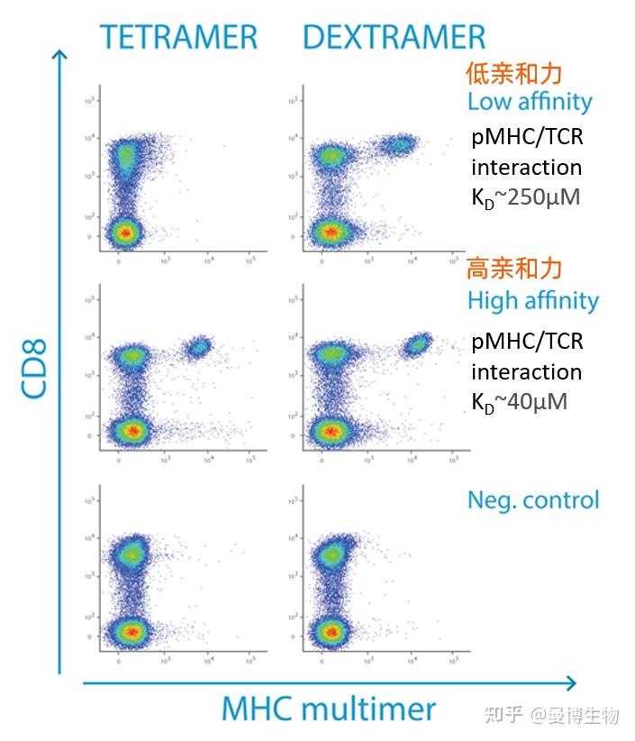 技术上新！MHC Dextramer有效提升低亲和力免疫细胞检测灵敏度 - 知乎