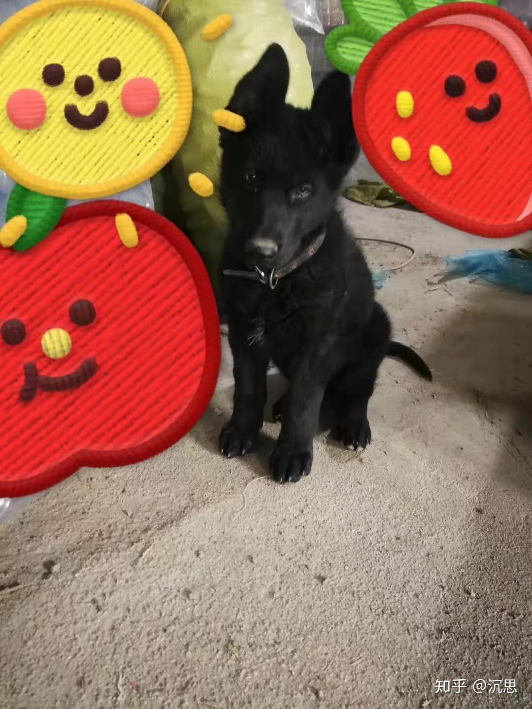 极简生活 - 知乎