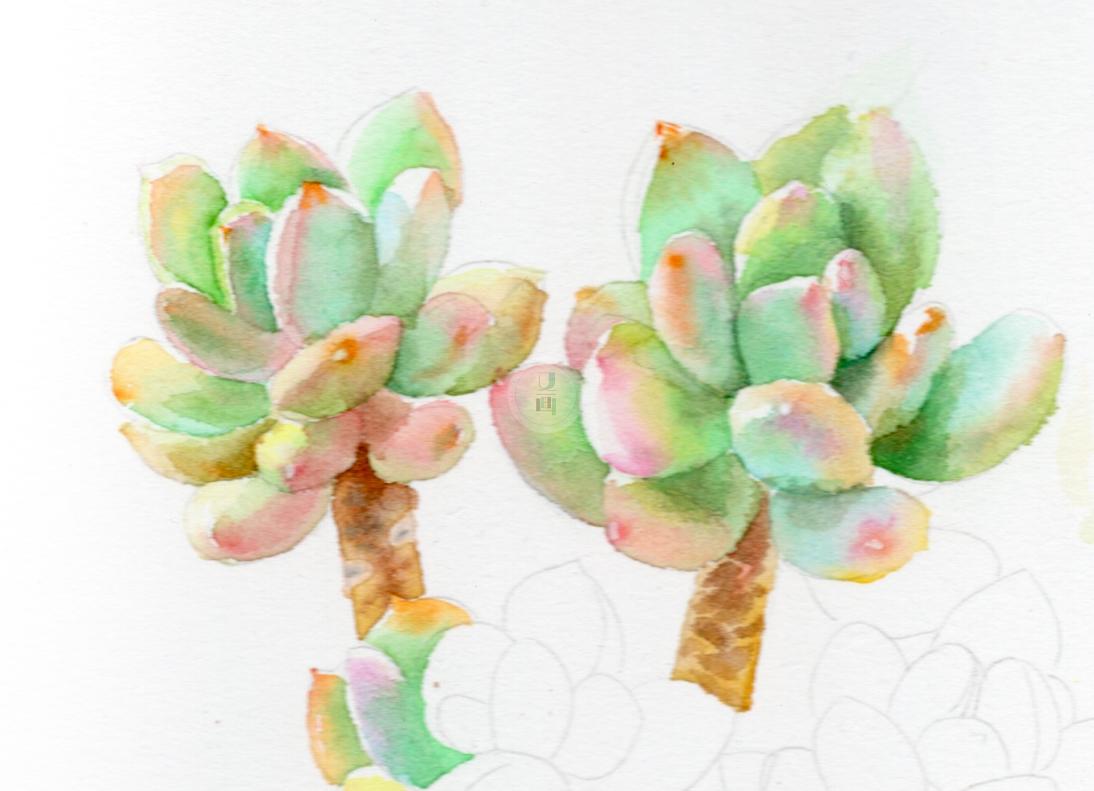 多肉怎么上盆教程视频 v2-fd2c4b129460a34f5f77f0a2de197a7c_r.jpg