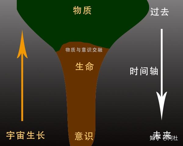 v2-fd2d50bc4e0ecb85a03f88c7a3f33390_r.jpg