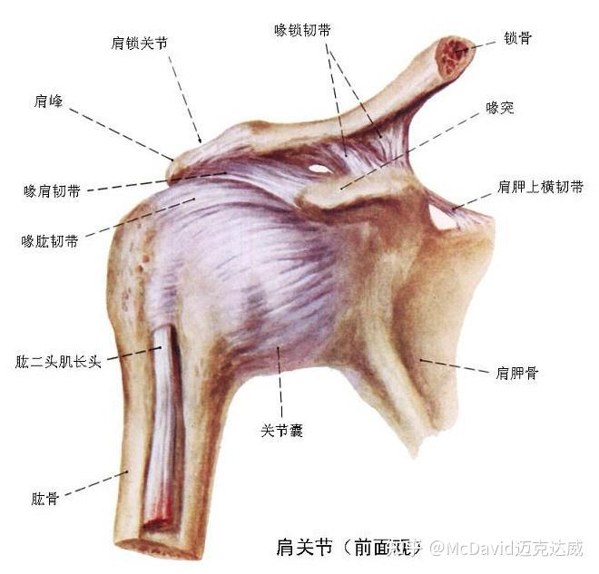 肩膀脱臼疼痛难忍