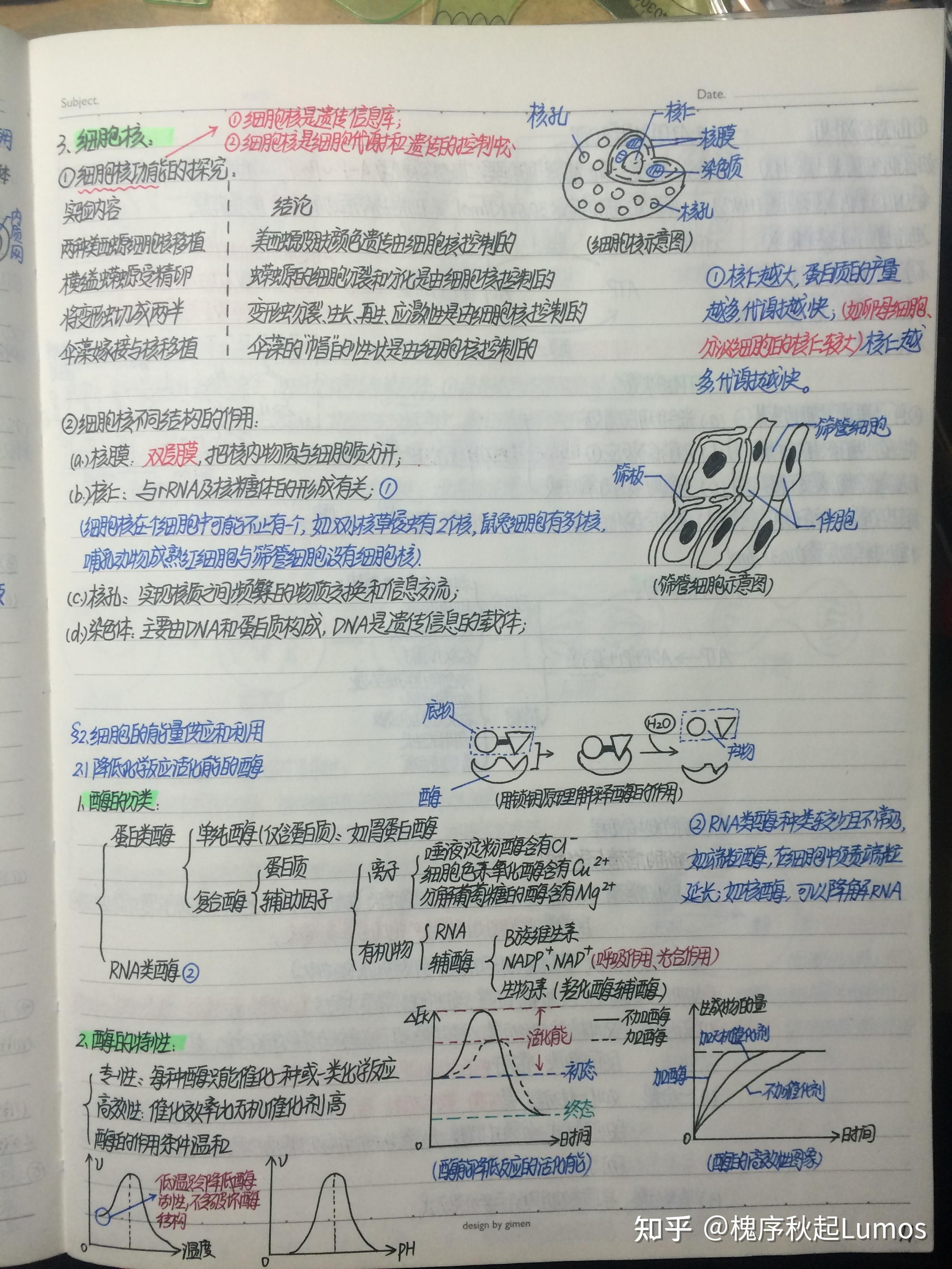 高中生物笔记1 分子与细胞(手写笔记 知乎