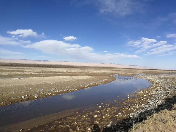 大多数情况下,大型野生动物多生活在那棱格勒河谷两侧的山谷里
