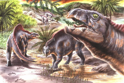 2020 新知答主攀缘的井蛙67【地球演义】忽雷本纪1:主龙第一帝国(上