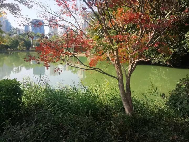 闻香识物 - 知乎
