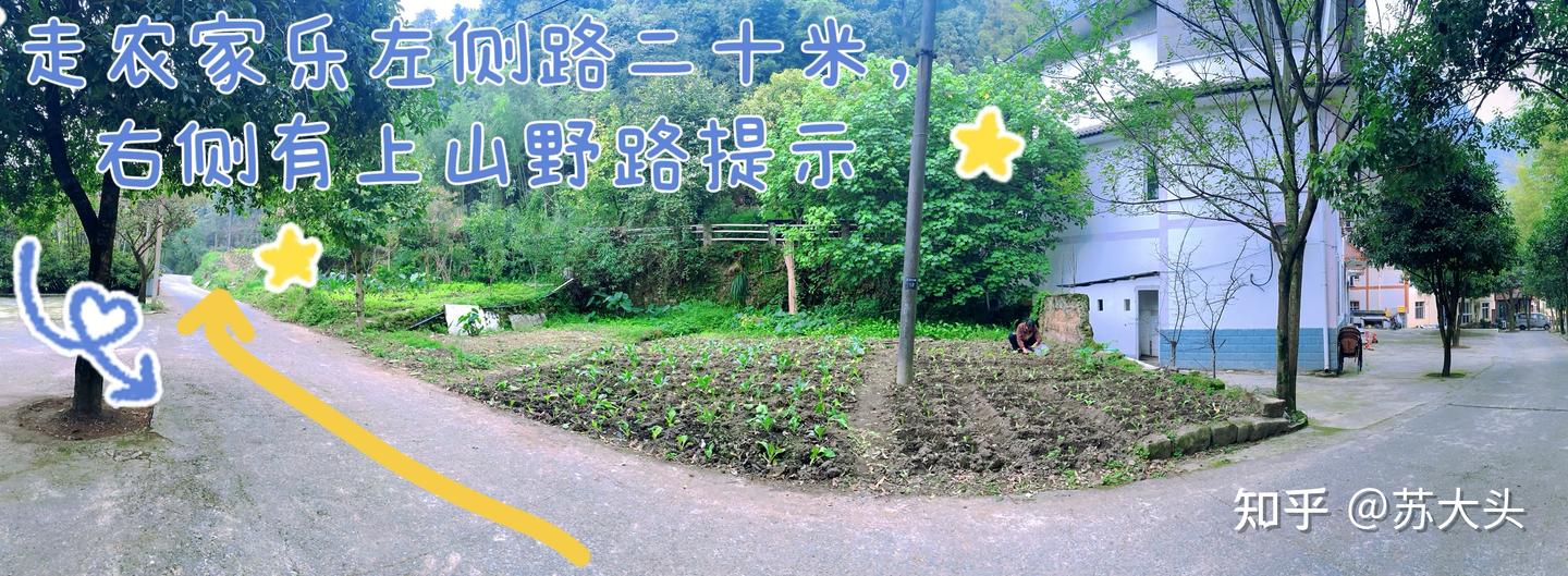 重庆徒步爬山圣地：缙云山免门票上山详细路线指引 - 知乎