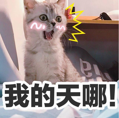 v2-fd6859c186352c29cd5da46bb5d43efa_1440w.jpg?source=172ae18b