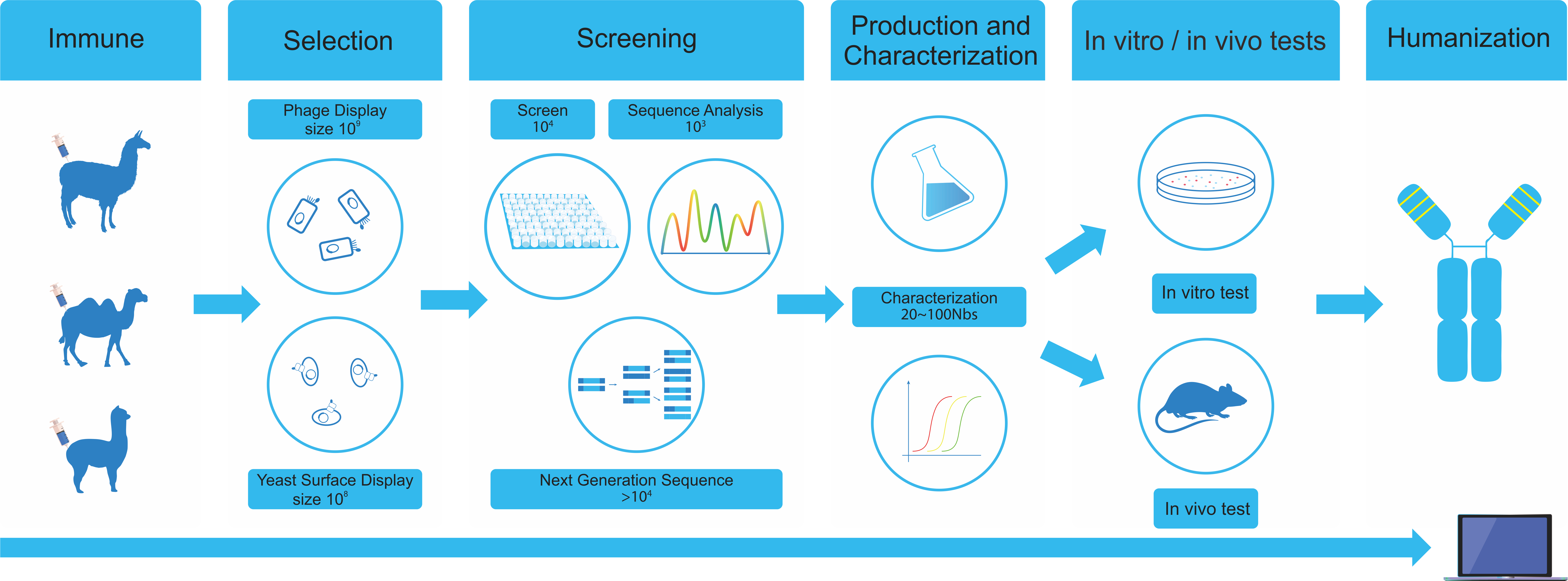 μcellect-新型的噬菌体展示平台 - 知乎