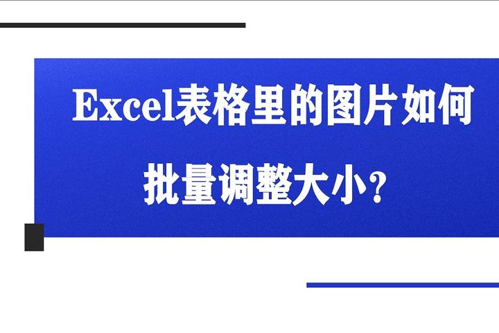 表格图片怎么调整大小图片