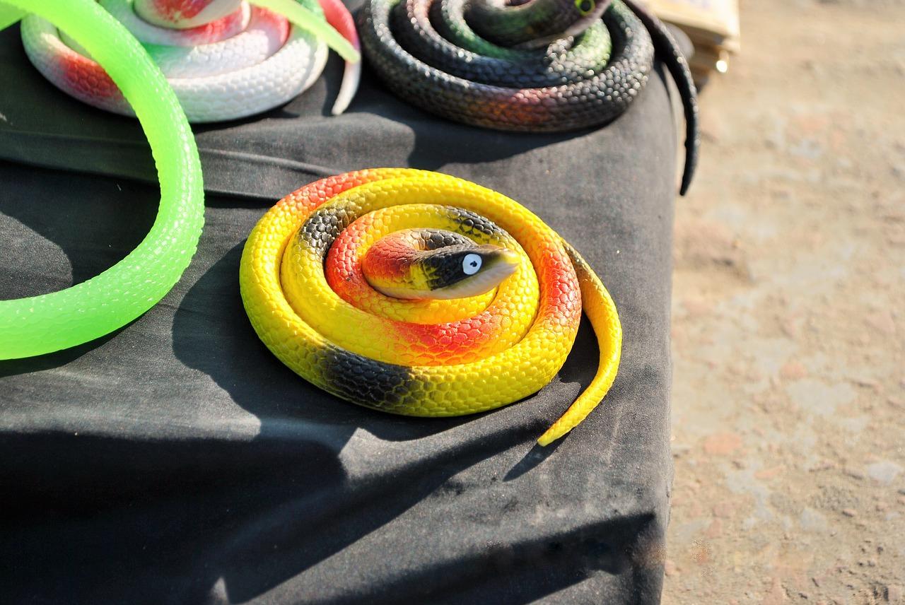 4. 套圈互动乐趣