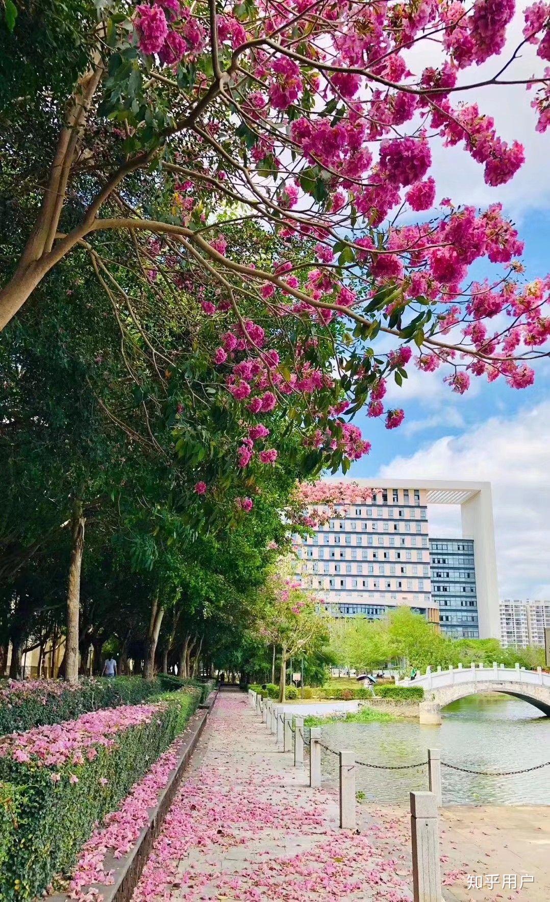 海南热带海洋学院怎么样呢? - 知乎