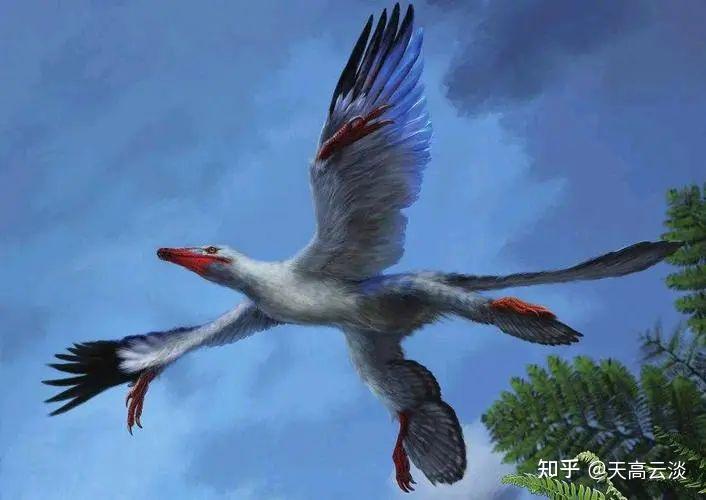 没有大灭绝手盗龙类有可能会新时代的霸主吗