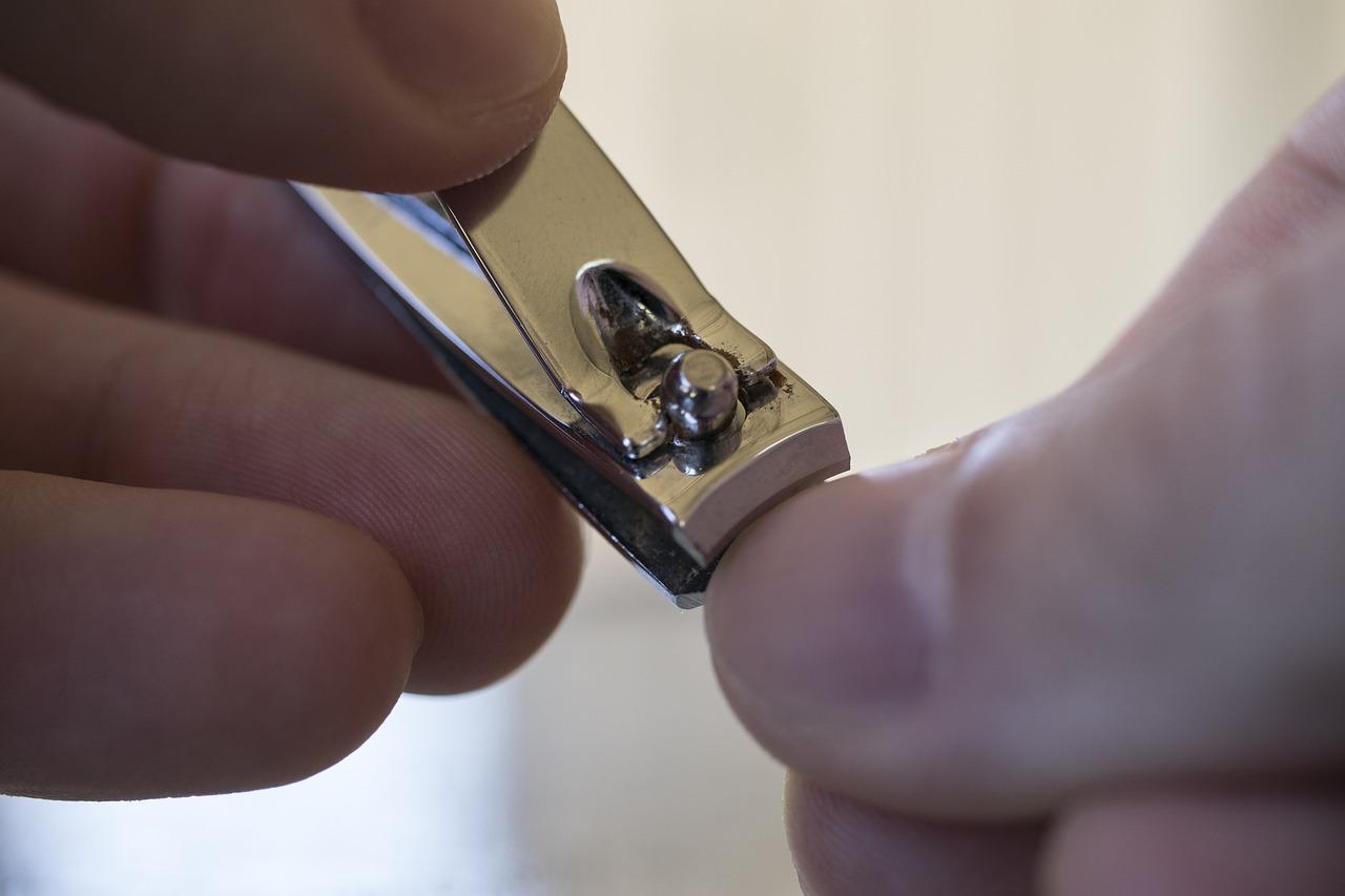 3. 内部结构解析