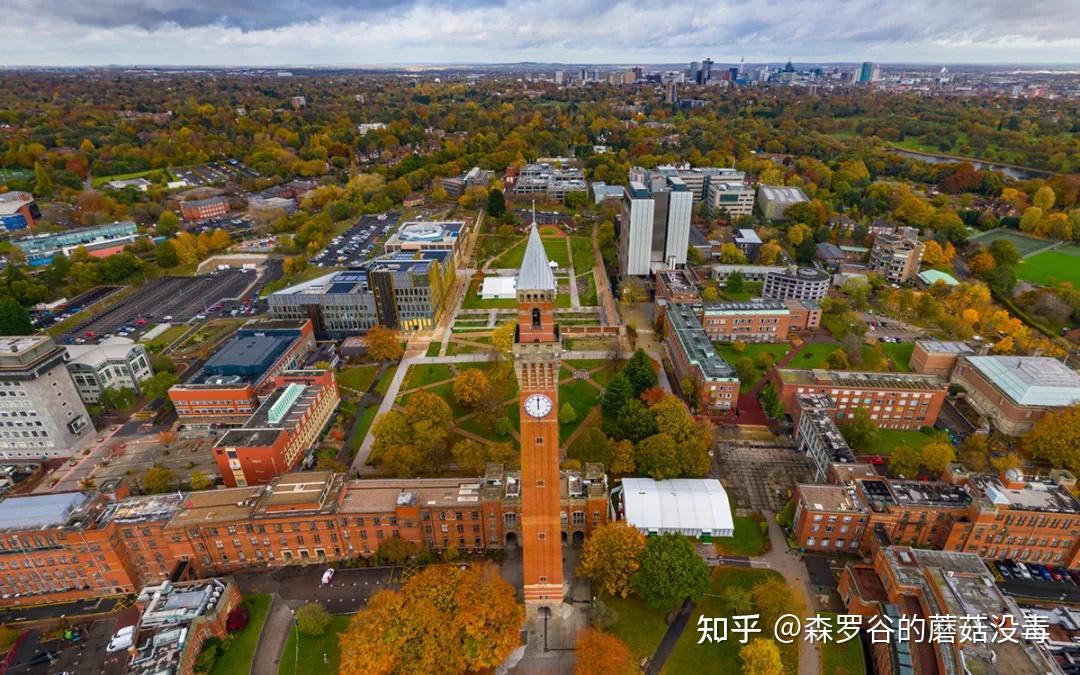 英国留学优势和劣势_英国优越留学_留学优越英国的条件