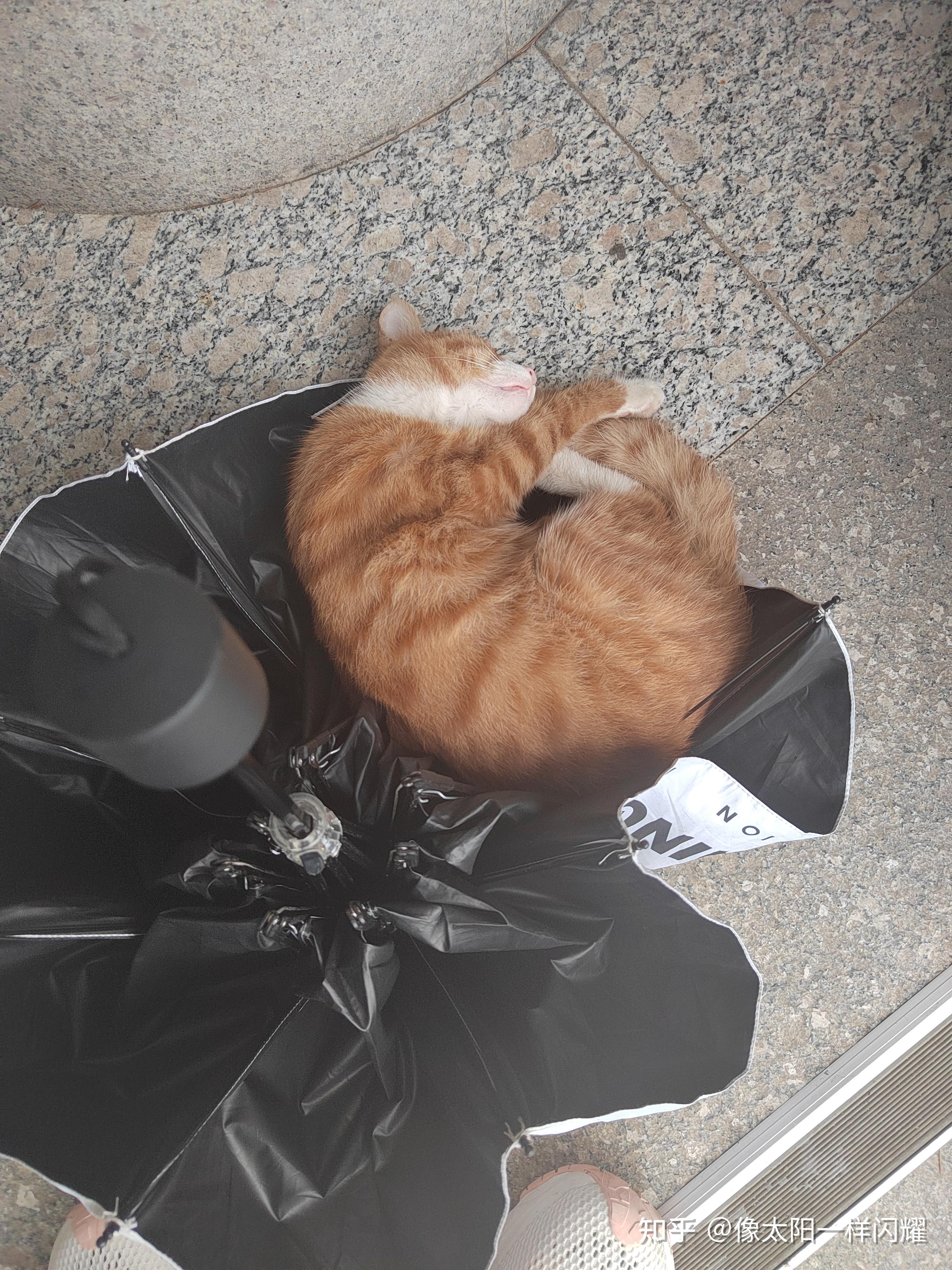 早晚都得死你为什么还要活着
