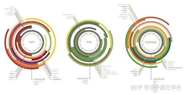 设计留学 | 植物分析与植物表现,都有哪些常见的形式? - 知乎