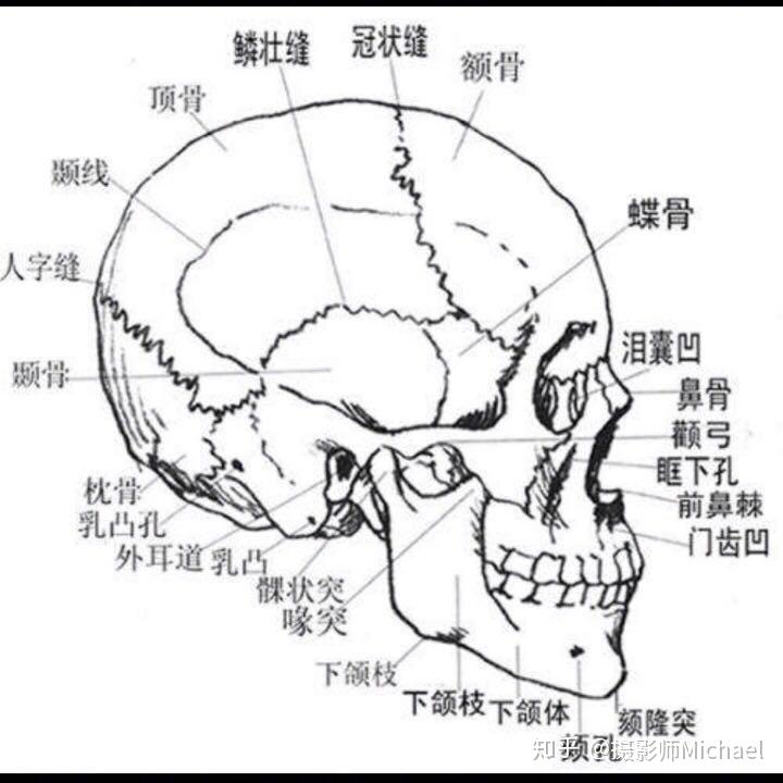 如何挑选一个合适且好用的儿童枕头? - 知乎