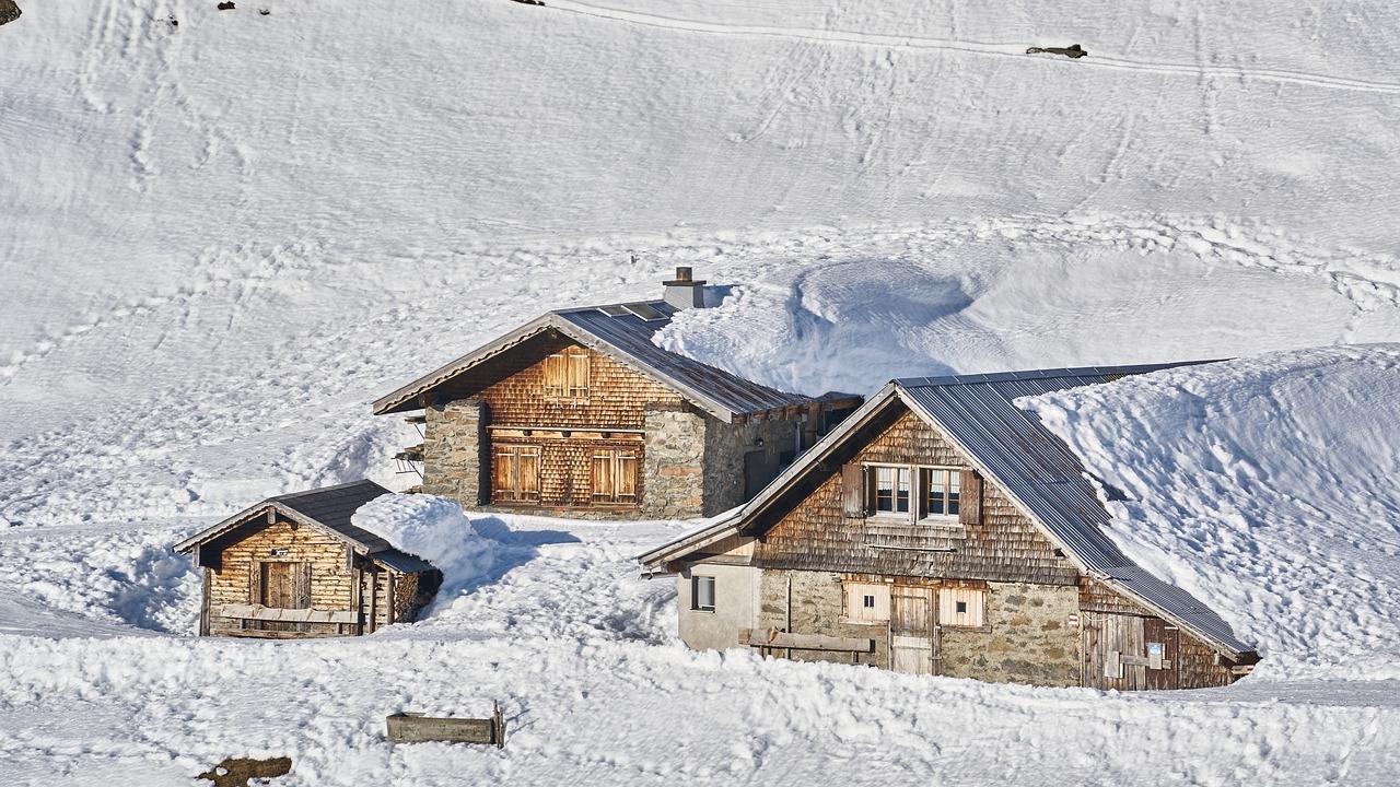 2. 北方桂花保暖法