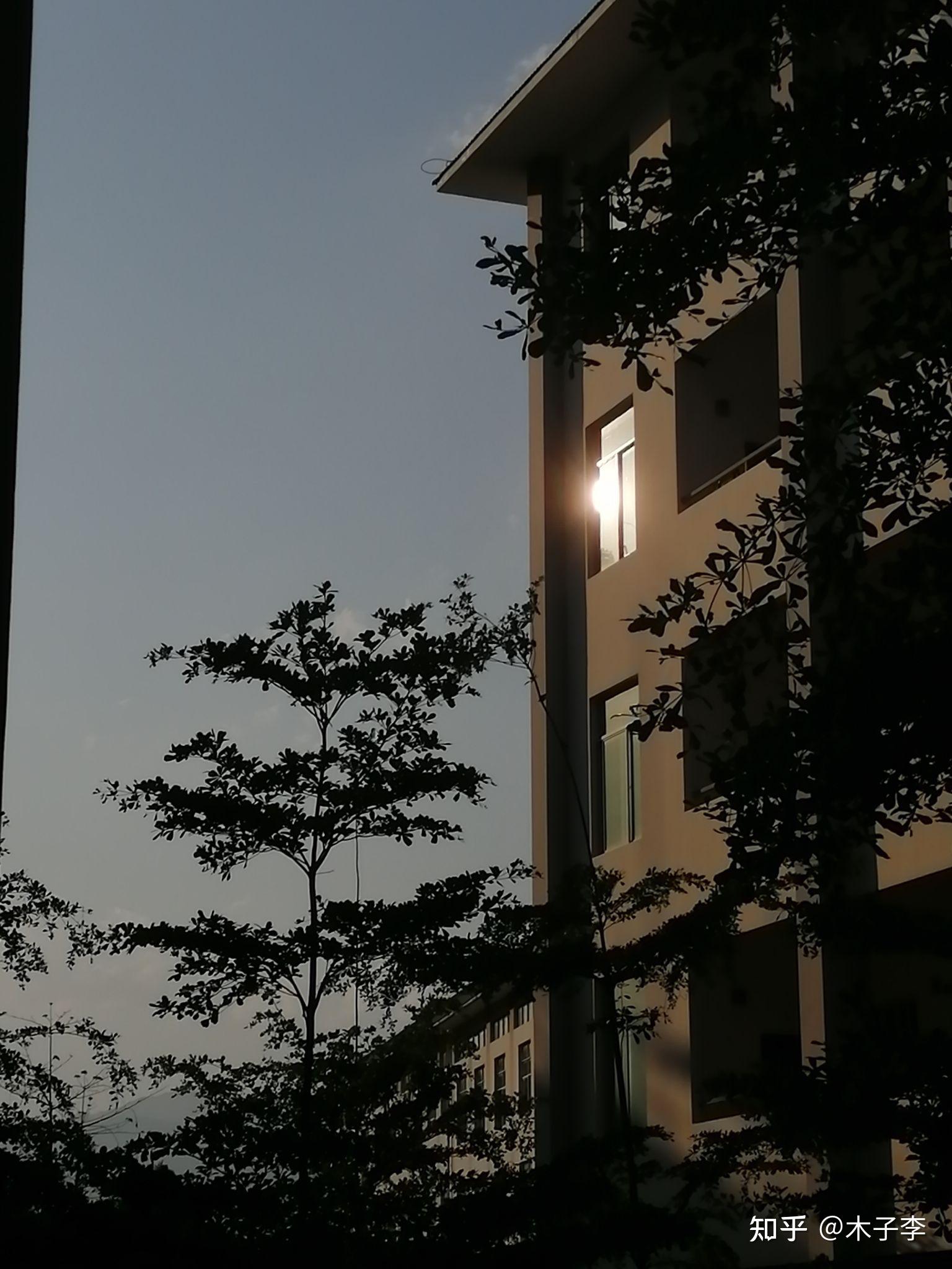 有哪些好看的光影场景照片