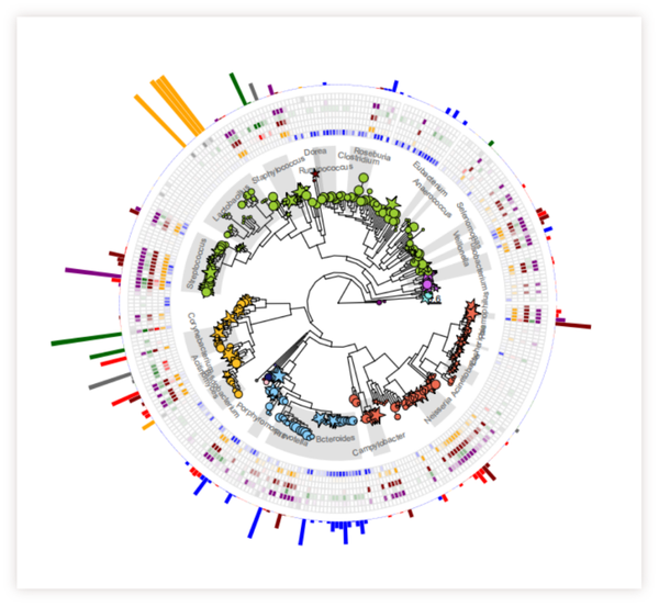 在线绘制高级进化树，超全功能，附详细教程和示例数据 - 知乎
