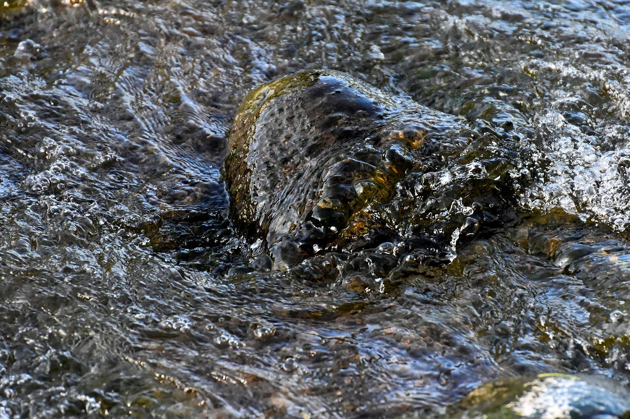 水能淌金什么意思
