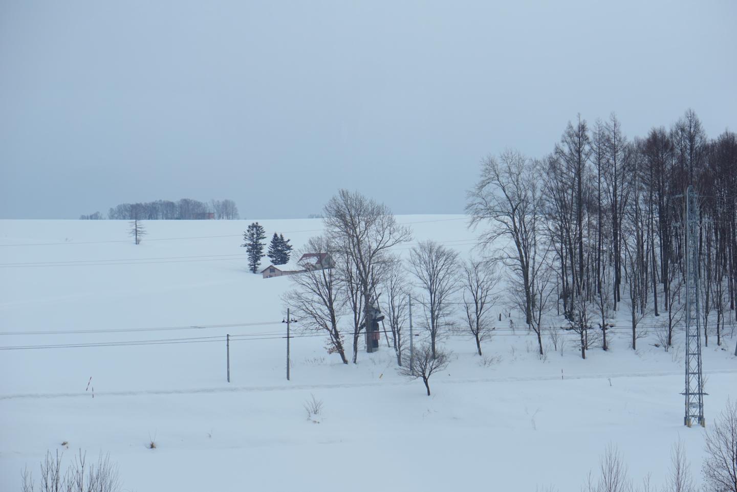 冬季的北海道丨雪国之旅 知乎