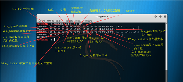 ELF文件格式解析器 原理 + 代码 - 知乎