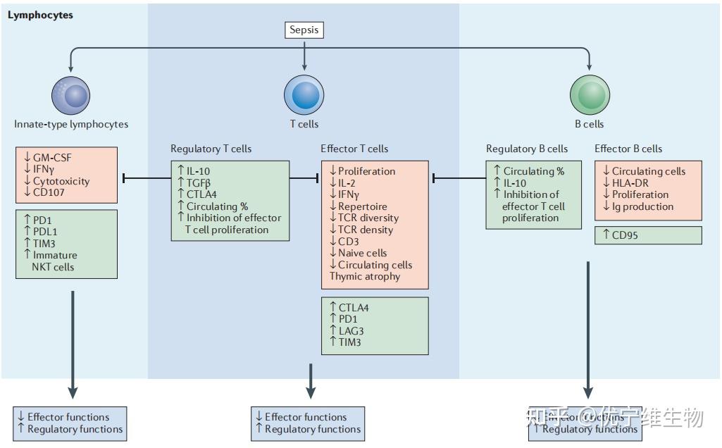 sepsis-total-solution-all-in-one