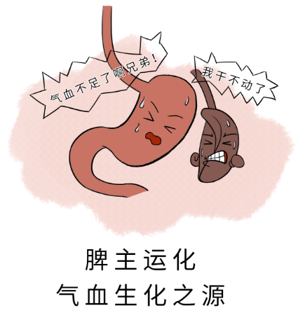 脾喜燥恶湿 zhuanlan.zhihu.com