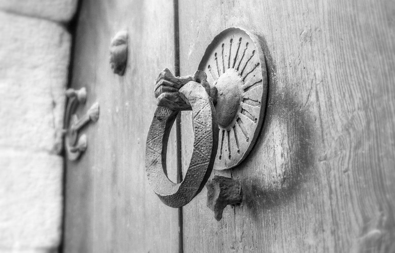 路路通是什么植物