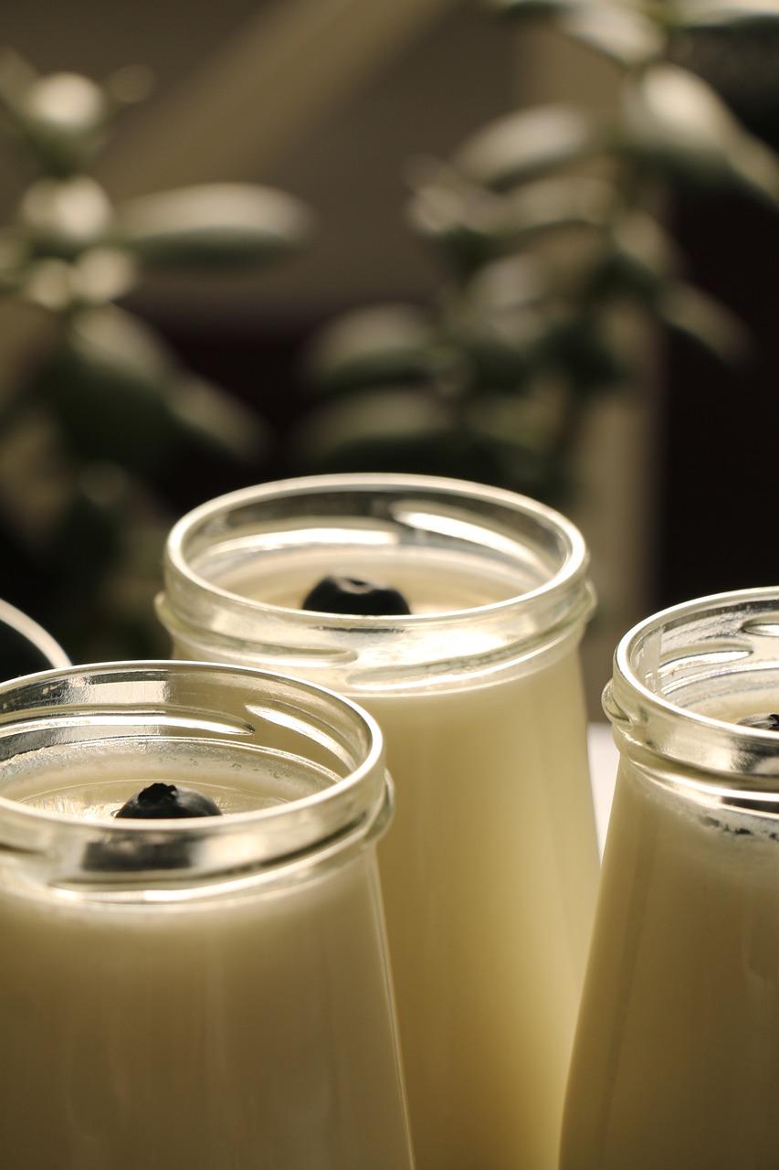 水牛奶如何做酸奶