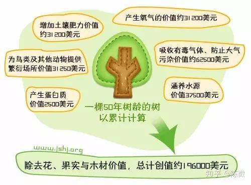 一棵树的生态价值