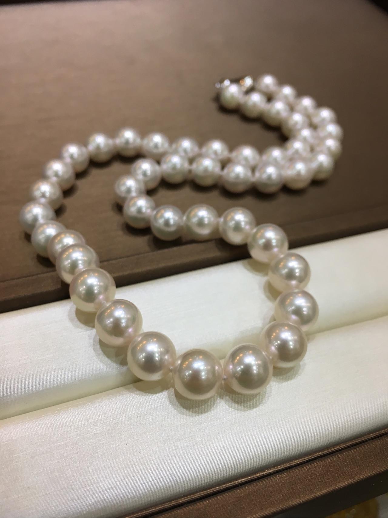 为什么海水珠价高