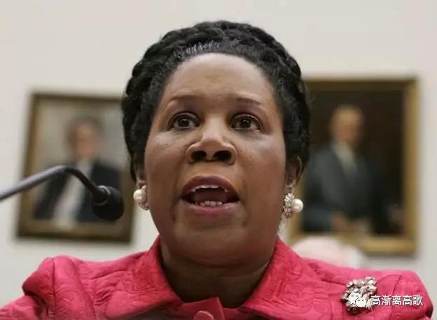 来看一位得遗孀心的女黑人国会议员sheila jackson  lee(以下简称李稀