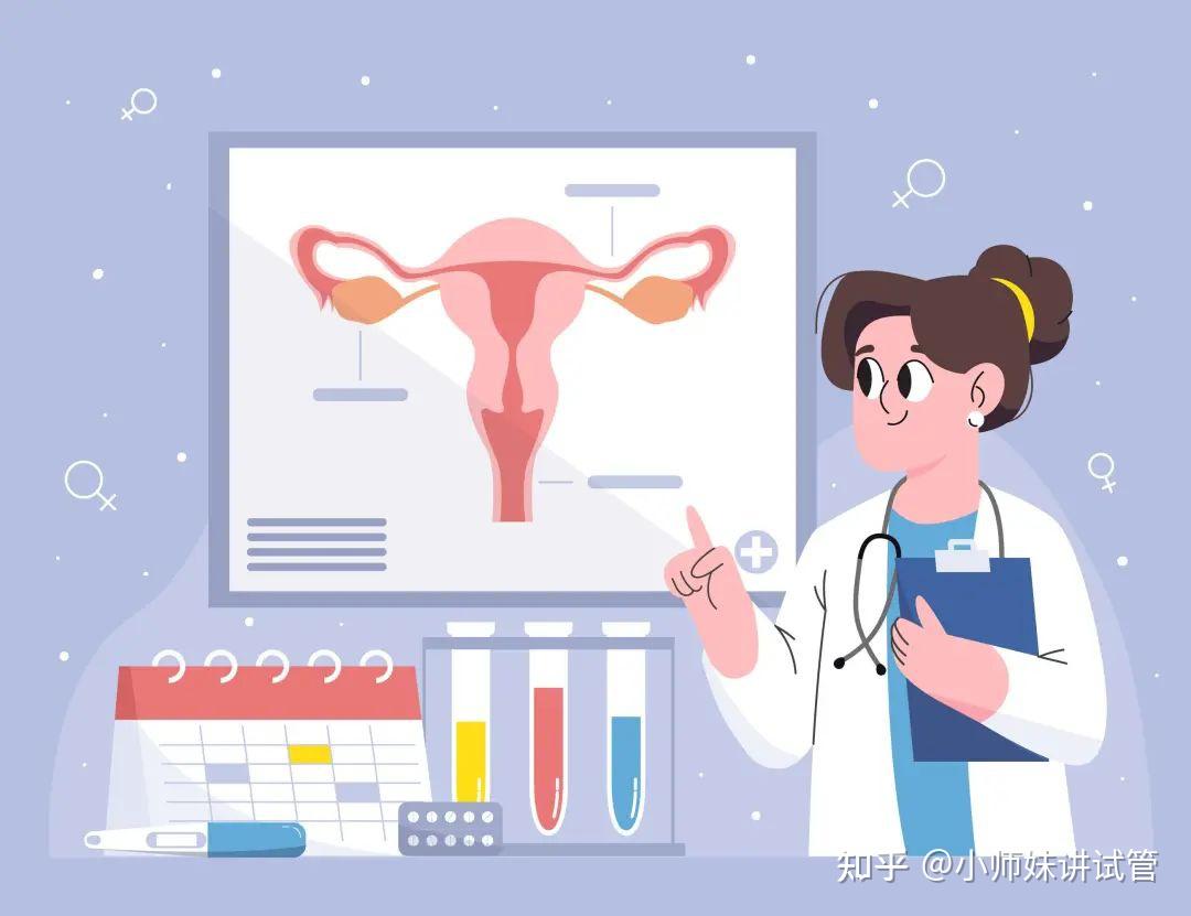 图17～6 妊娠期的子宫内膜-基础医学-医学