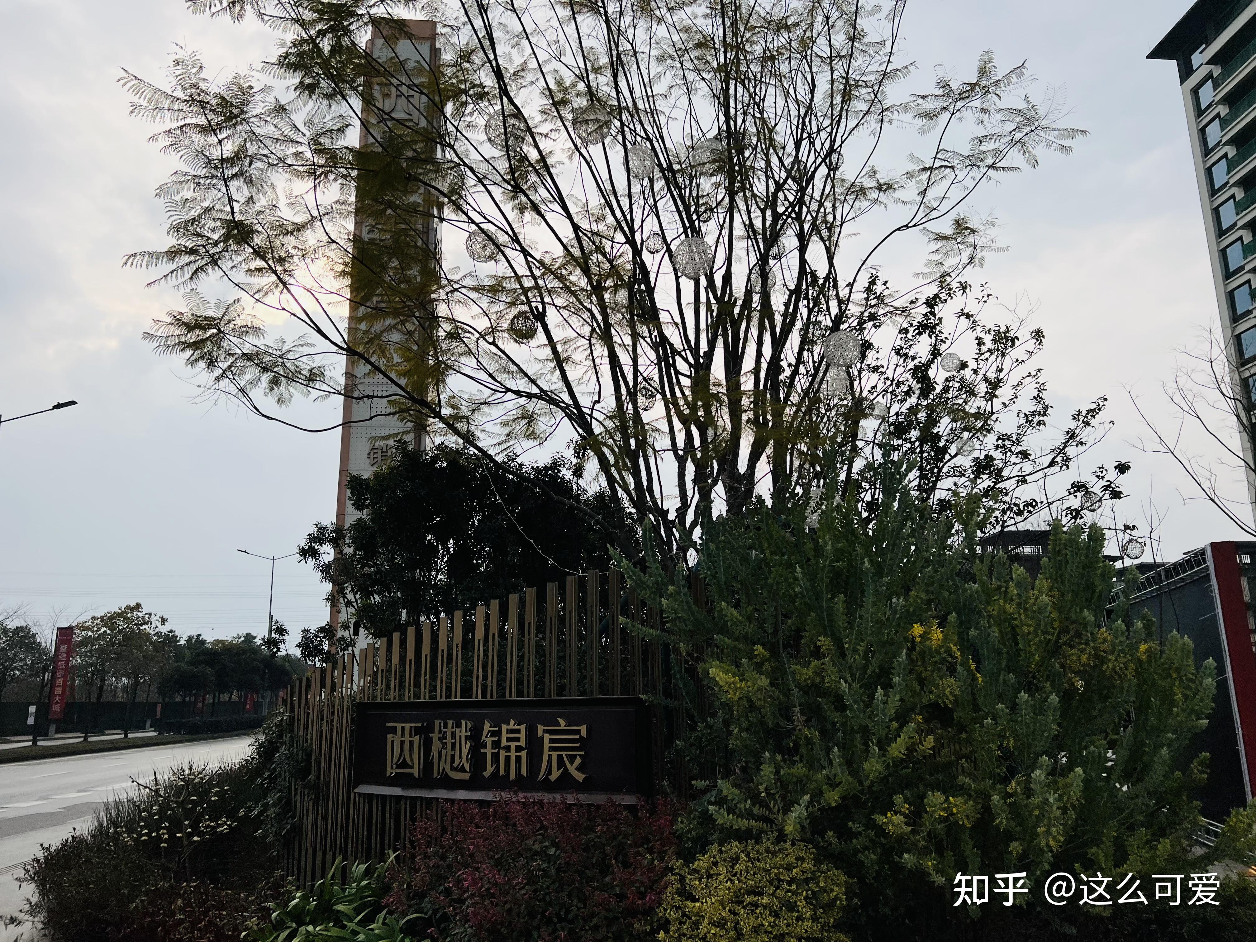 成都武侯西樾锦宸过程进度