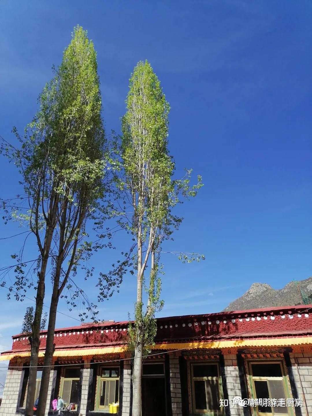 冈仁波齐朝圣记之三青朴