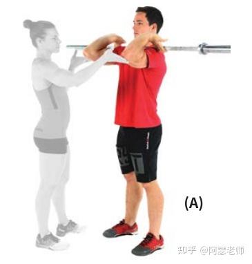 力量之后：前蹲的好处及要领 - 知乎