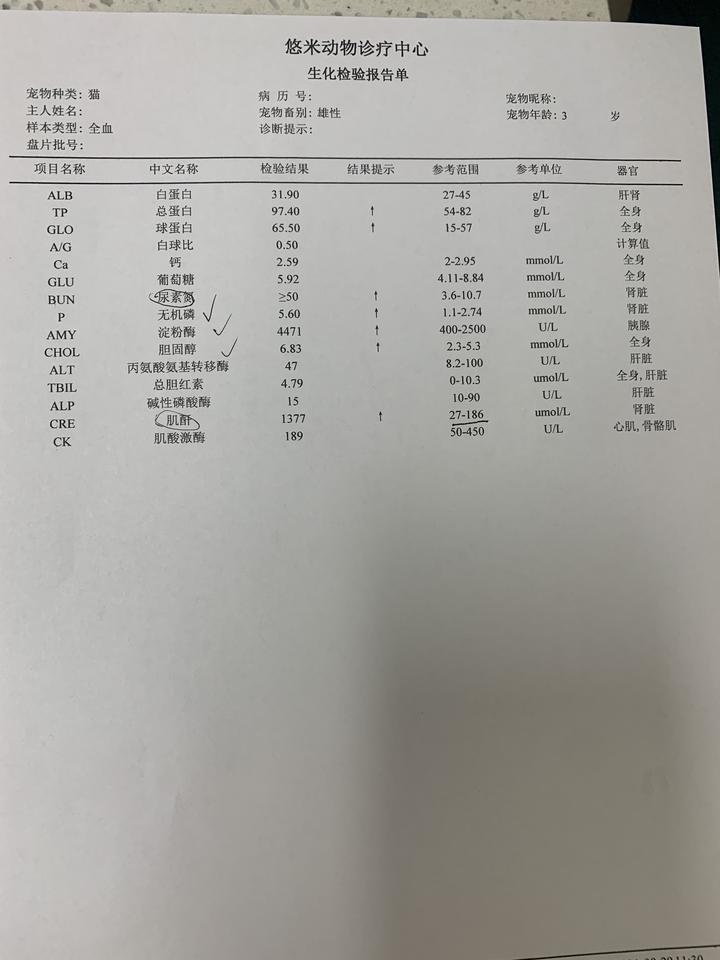 慢性肾衰竭 知乎