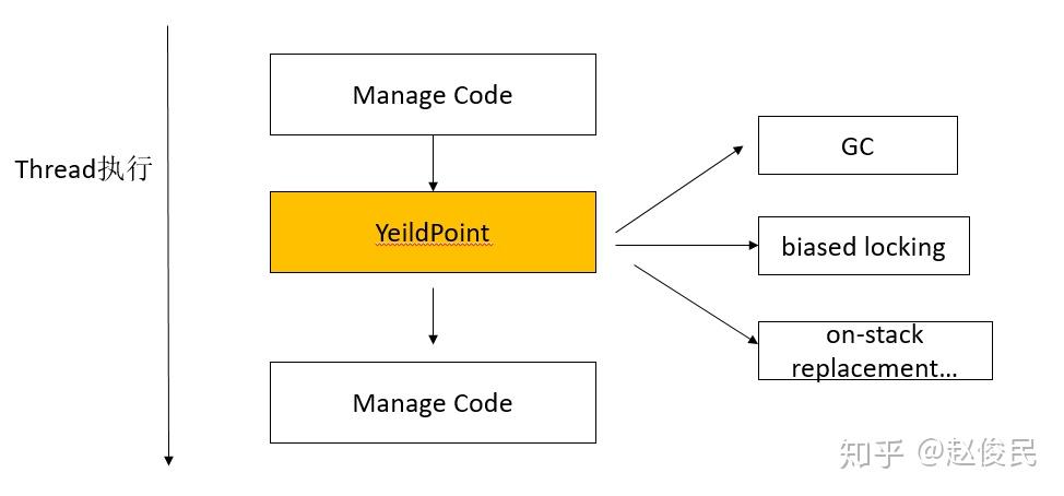 Java Memory：认识Yield Point - 知乎
