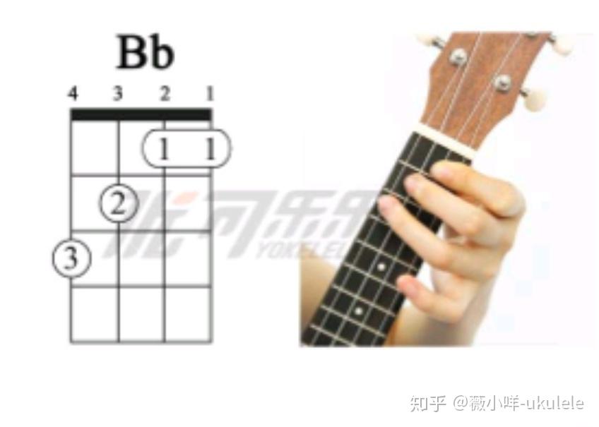 Ukulele Bb和弦总闷一弦或者四弦怎么办？ - 知乎