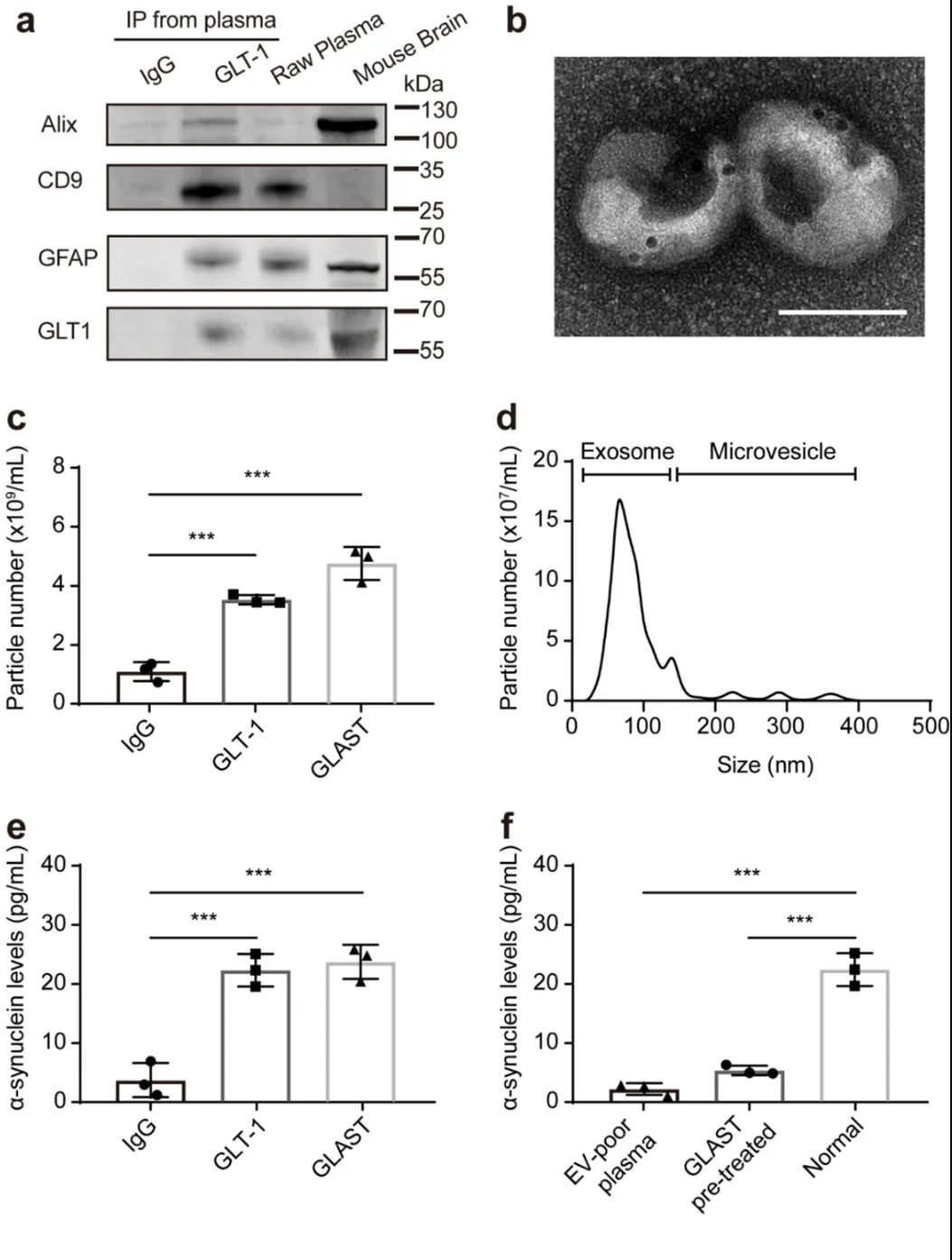 世界帕金森病日细胞外囊泡为帕金森患者点亮希望之光