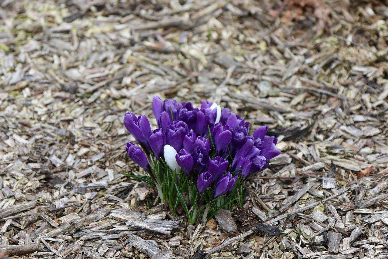 3. 男性保健佳品