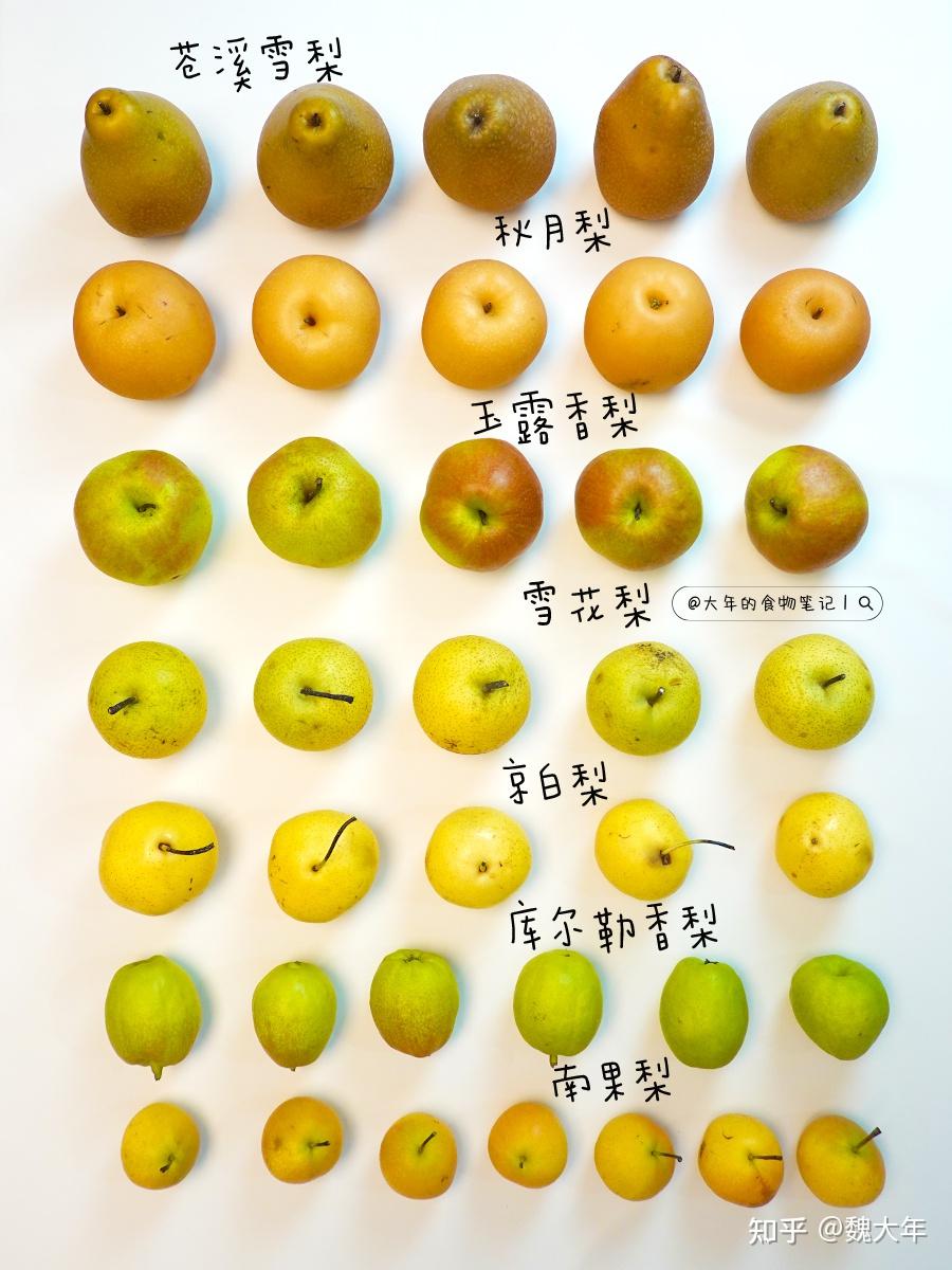 梨合集丨7个不同产地的梨测评(口感、风味、吃法) - 知乎