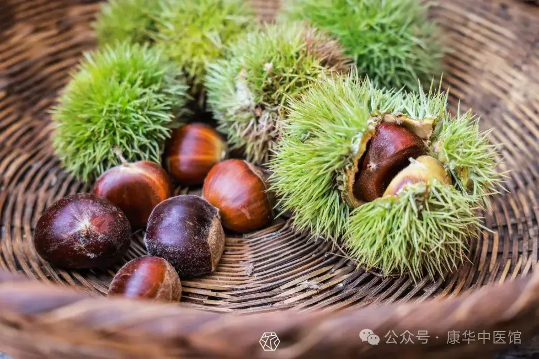 毛栗子——老天赐予人类的‘神仙’之果 - 知乎