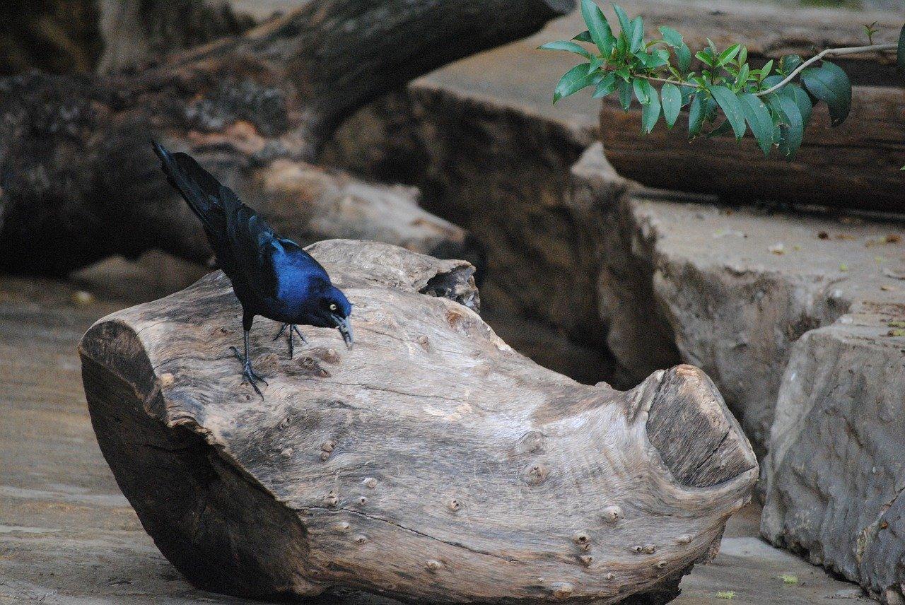 1. 房产投资回报