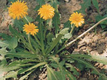 v2-fe2fde8e15c3e28a3917e253616fe614_1440w.jpg?source=172ae18b