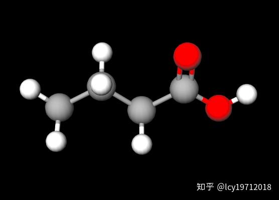 脂肪酸的结构,分类与功能