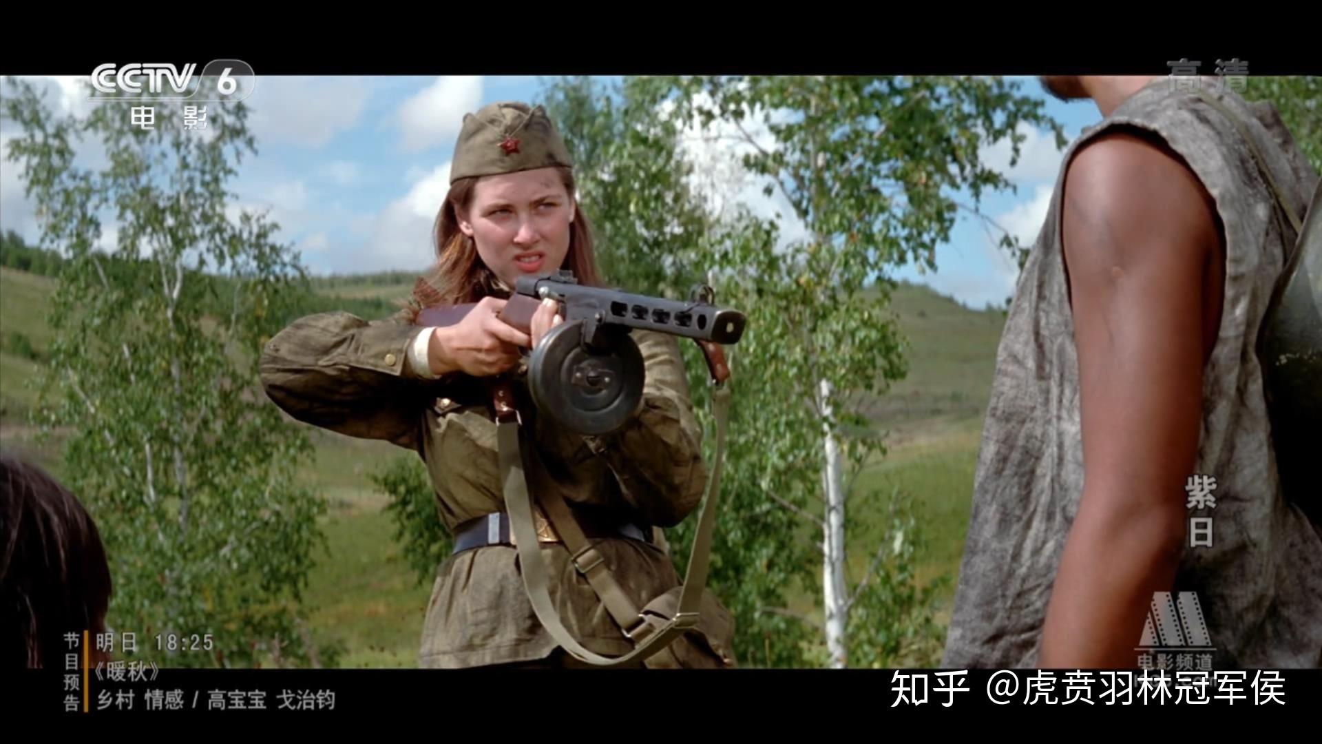 如何评价紫日这部电影